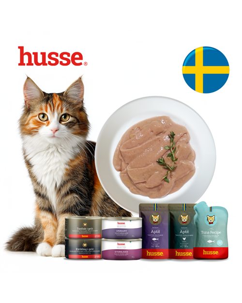 브랜드 라인업업 이미지